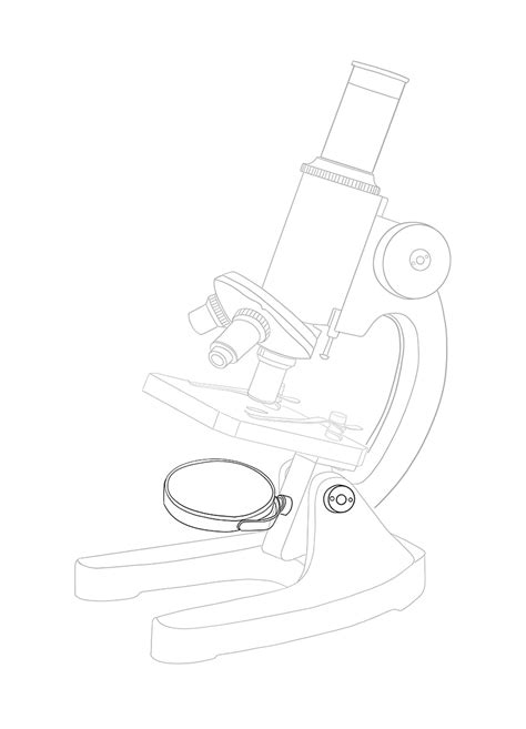 pencil microscope drawing easy|Drawing Tutorial: How to Draw a Microscope with Labels.